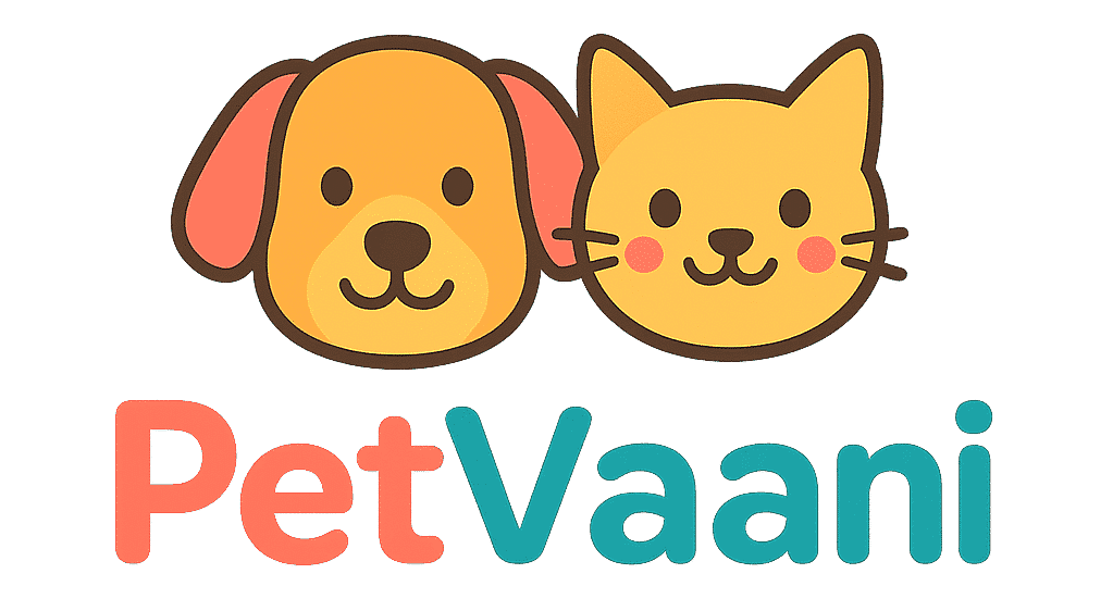 cropped chatgpt image aug 10 2025 07 08 39 pm.png